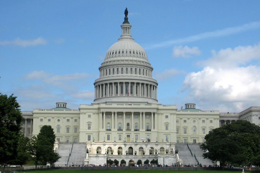 Ex-Democrat Senator Admits She Voted For Trump-Backed House Candidate capitol hill