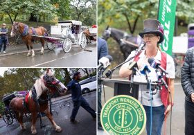 Horse-drawn carriage drivers accuse Mamdani, Menin of hypocrisy for deal to ban industry