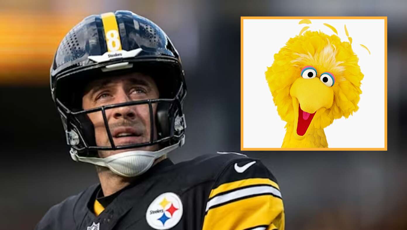 Aaron Rodgers Gives Up Ayahuasca After Getting Sacked By Big Bird cc