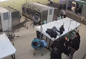 Super-charged deer crashes through North Carolina laundromat, runs amok as customers duck for cover
