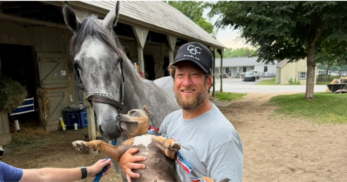 Dave Portnoy-Ryan Day Feud: Why Barstool Was Dropped From Big Noon Kickoff dave portnoy