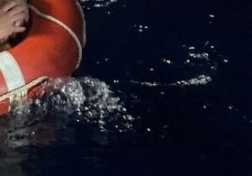 Woman Found Alive in Sea After 20 Hour Royal Caribbean Nightmare