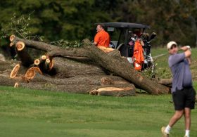 Well, That Escalated Quickly: DOJ Moves to Disqualify Judge in Trump’s DC Golf Course Fight