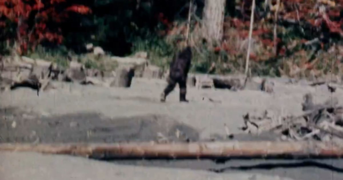 Bigfoot Clip Everyone's Seen Is Shown to Be Total Fraud After Film Cannister Stored in Safe for Decades Found eature Image 2026 10 12T194516298