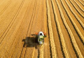 Trump USDA’s Latest Move Paves Path for Agricultural Prosperity by Unleashing Reliable Energy