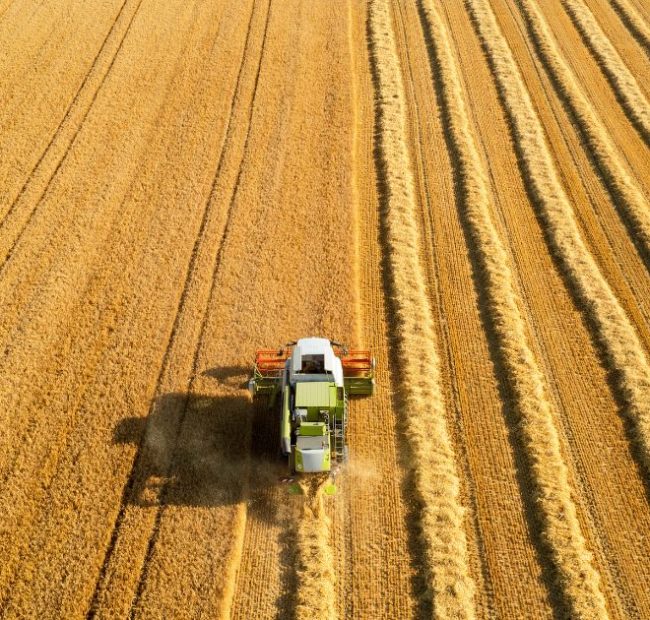 Trump USDA’s Latest Move Paves Path for Agricultural Prosperity by Unleashing Reliable Energy