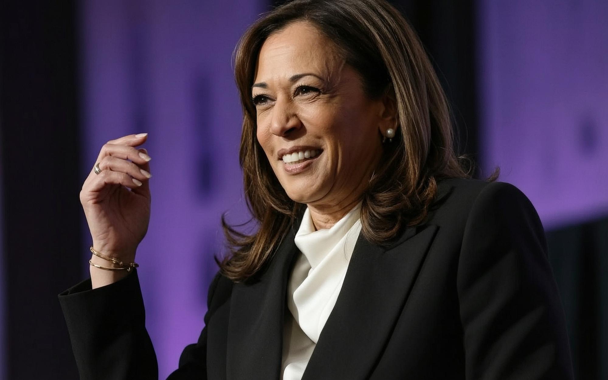 Kamala Harris and Her Allies Push a Radical Blueprint for America ezette 6ad1eec550ae9