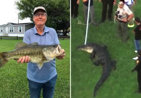 Florida fisherman slipped and fell after hearing 12-foot alligator creeping up on him: ‘It just snatched him’