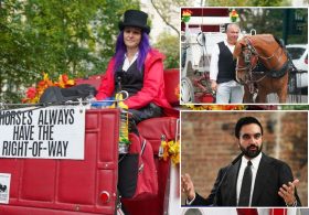 ‘Betrayed’ horse-drawn carriage drivers fear homelessness as NYC moves to ban industry