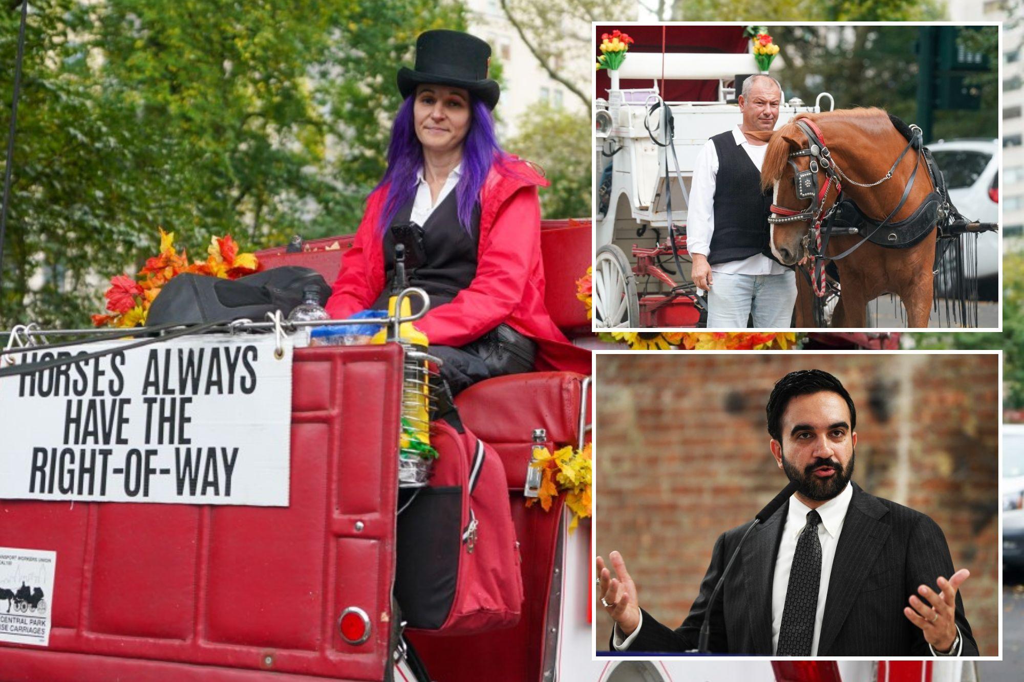 ‘Betrayed’ horse-drawn carriage drivers fear homelessness as NYC moves to ban industry horse carriage driver ban comp