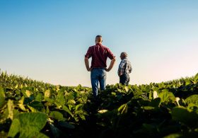 Trump’s policies are putting the screws on American farmers