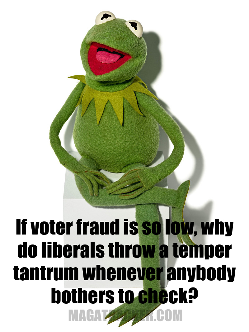 MagaTracker | Official 24/7 Live News Aggregator Wire & App MagaTracker | Official 24/7 Live News Aggregator Wire & App if voter fraud is so low why do liberals throw a temper tantrum whenever anybody bothers to check