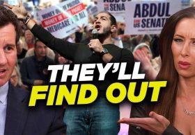‘Suicidal empathy’: Alex Stein blasts Abdul El-Sayed supporters who can’t explain his policies