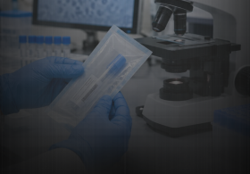 Russia Plague Case: What Is Pneumonic Plague and How Does It Spread?