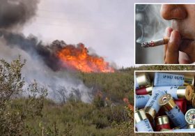 Man who started 1000-acre Bouquet fire slapped with federal arson charges as investigation unfolds