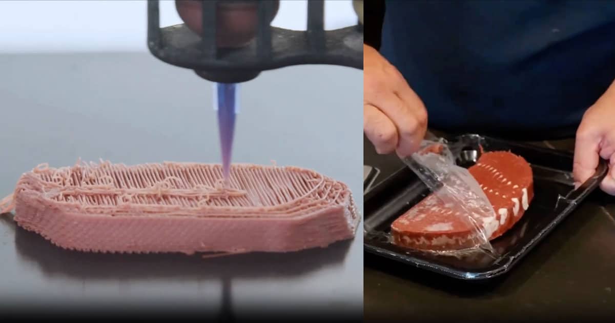 3D-Printed Fake ‘Meat’ & ‘Fish’ Flood U.S Food Supply Without Clear Labels ish 1