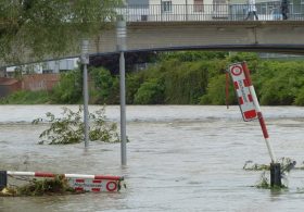 Hurricane Isaias Videos Show Florida Devastation as Storm Weakens: Latest Update