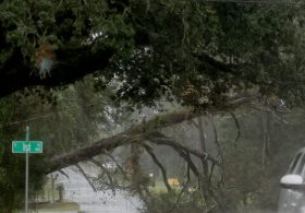Hurricane Isaias Brings 96 MPH Gusts to Florida as Flooding Threat Grows