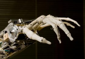 Why Are Tech Bros So Desperate to Say AI Is Sentient?