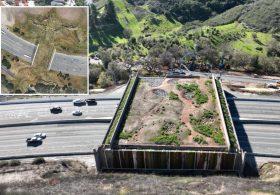 $114M SoCal wildlife crossing to track whether animals are ‘happy’ with taxpayer-funded bridge