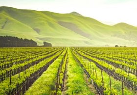 Secretary Brooke Rollins shepherds another anti-ESG reform for USDA