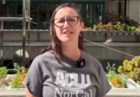 ACLU of California Drops Videos and Hotline to Report ICE ‘Intimidating’ Voters at Polls, Essentially Admitting Illegal Aliens Will Be Voting