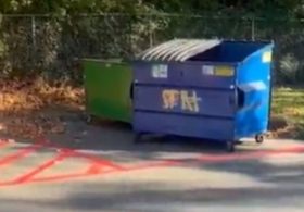 Mail Bins Filled with 92 Undelivered Midterm Ballots Found Tossed in Seattle Park Dumpster