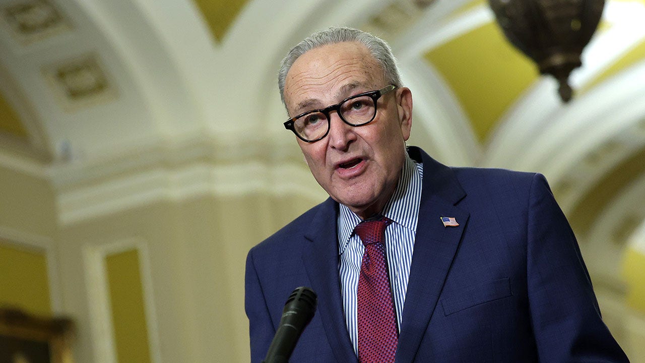 Dems hand GOP fresh midterm weapon by opposing widely used voter ID senate minority leader chuck schumer ice