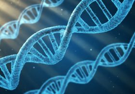 Weak Sunlight Can Damage Skin DNA Too: Study Challenges ‘Safe’ Morning, Evening Sun Exposure