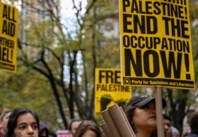 Social justice activist groups shut down after leader admits her years-long race hoax