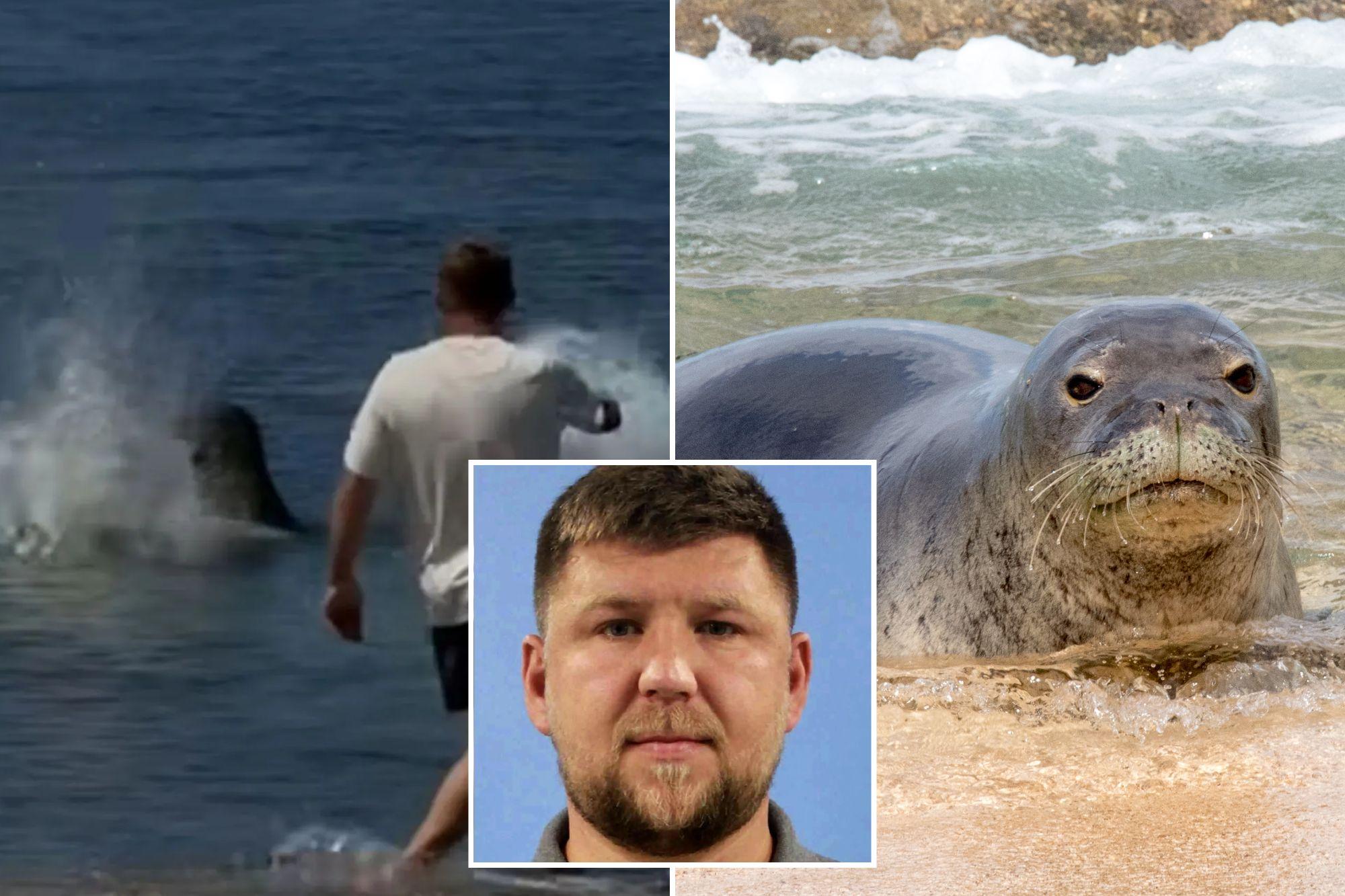 Hawaii monk seal attack suspect could walk free as court filings reveal outrageous new excuse xdphv7 1791938591496
