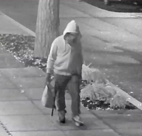 Former Capitol Police Officer Accused in Jan 6 Pipe Bomb Plot By Journalist Investigation Matching Suspect’s Gait