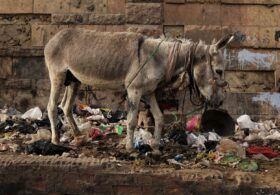 Democrats With Total Power Are More Dangerous Than Iran With a Nuke: Jesse Kelly