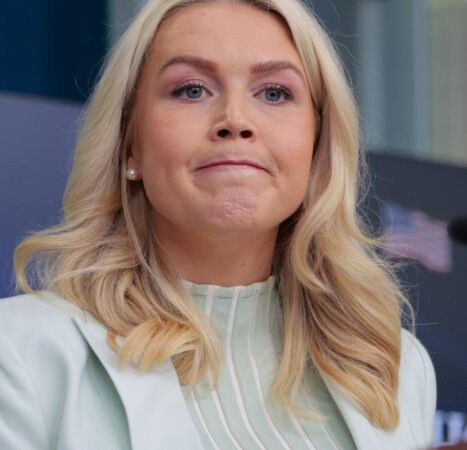 Leavitt blames Democrats’ “despicable” rhetoric for WHCD shooting