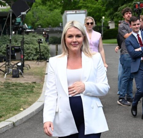 White House press secretary gives final briefing before maternity leave