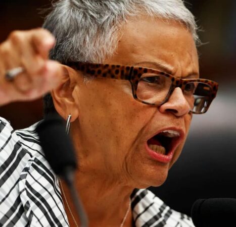 House Democrat Calls on Leftists to ‘Eliminate’ Trump