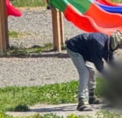 Trump Was Right Again: Locals Horrified as Nigerian Immigrant Kills, Cooks Cat Next to Playground – Reports