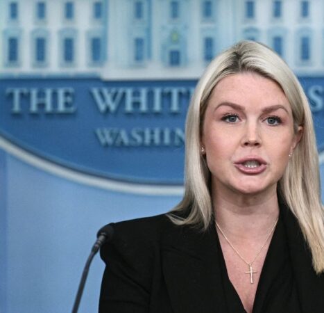 After Karoline Leavitt Calls Out Dems for Their Vile Anti-Trump Rhetoric, GOP Brings the Receipts