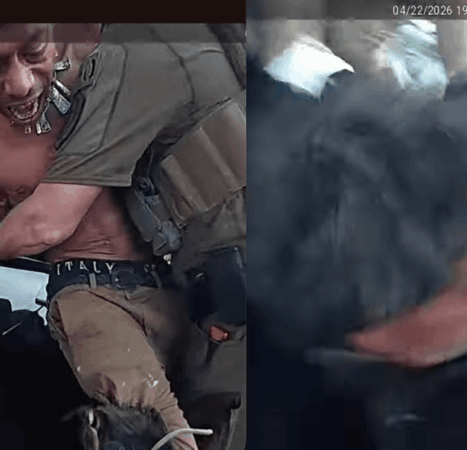 Unhinged man bites police dog while resisting arrest; cops say man became disruptive amid operation he wasn’t even part of