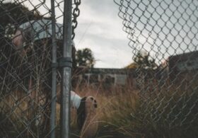 The Role of Responsibility in a Free Society