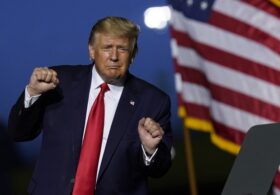 A Massive Troll: It’s Time for Trump to Endorse Democrats in the Primaries