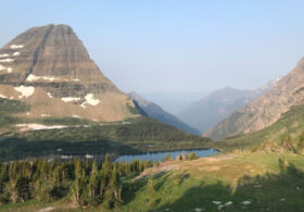 Deadly Bear Attack in Glacier National Park is the First in Decades at the Iconic Park
