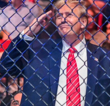 Trump hosts UFC fighters in Oval office to promote upcoming fight on White House lawn