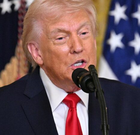 Trump rips New York Democrats on illegal immigration, crime: ‘Foolish radical left idiocies’