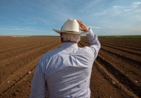 Globalist AI Push Threatens America’s Food Supply as Data Centers Swallow Up Farmland
