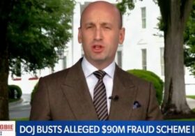 Stephen Miller: Somali refugees brought into US ‘are trying to rob us blind’