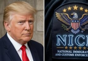 Trump Trolls the Dems and Liberal Media Hard with Clever ICE Rebranding
