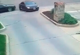 WATCH: Idiots On The Road; Ridiculous Car Crashes And Other Mayhem