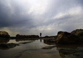 West Coast, Messed Coast™ — Oregon Is a Step Closer to Outlawing Hunting and Gathering