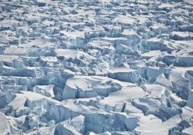 When Antarctic Headlines Melt Faster Than the Ice